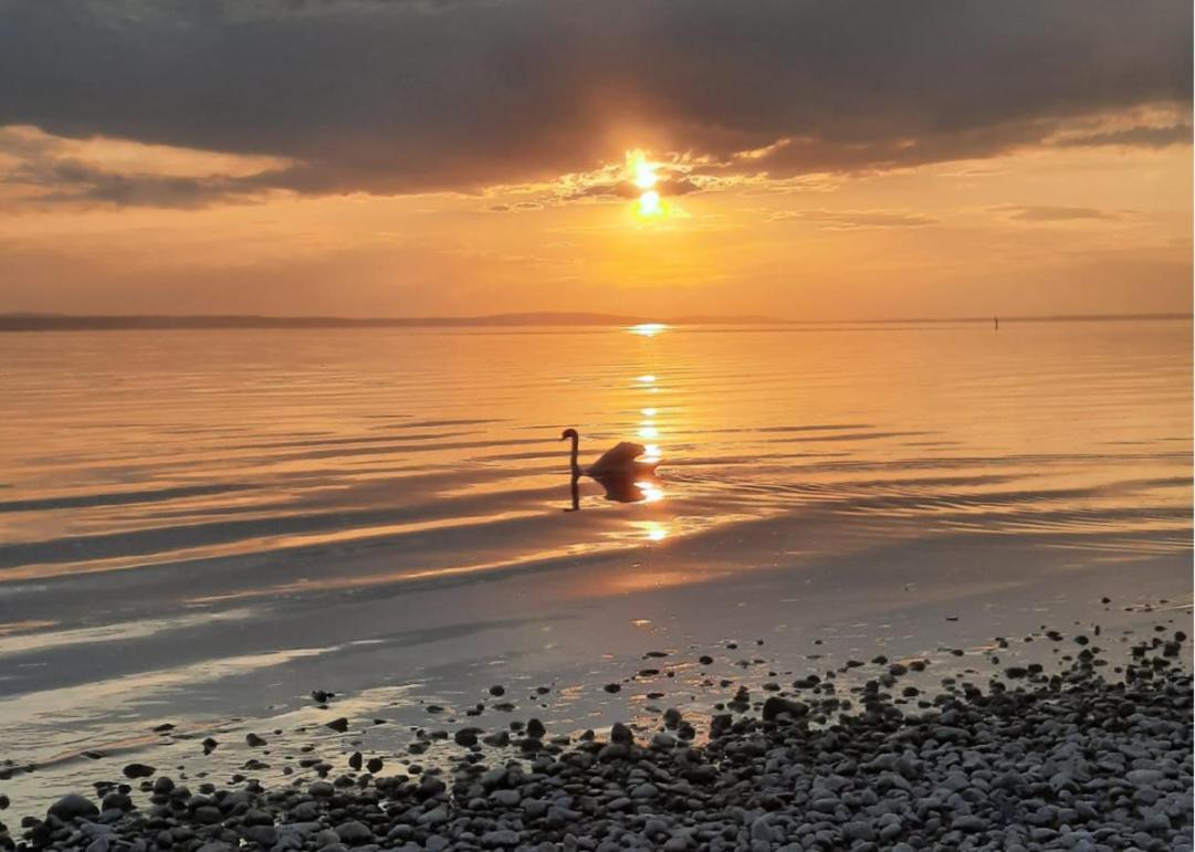 Ferienwohnung Thoma Langenargen Exteriér fotografie